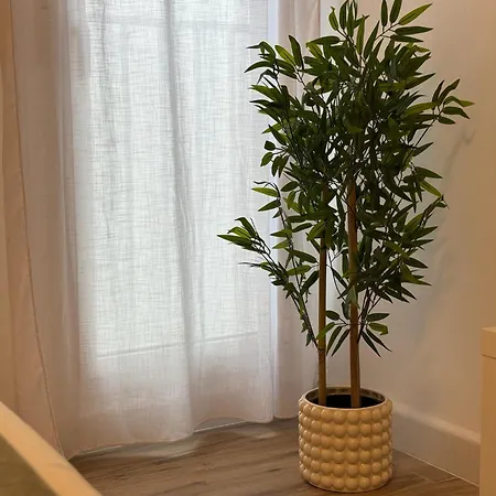 Entre Plazas * Cordoba