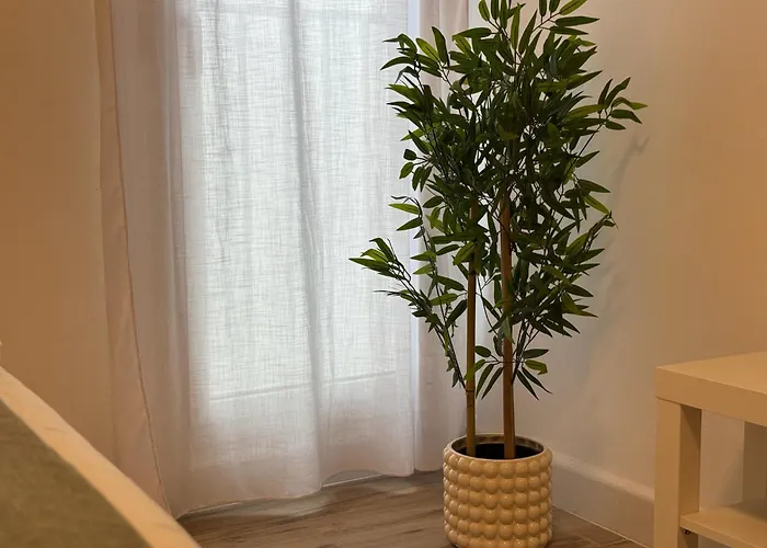 Entre Plazas * 科爾多瓦